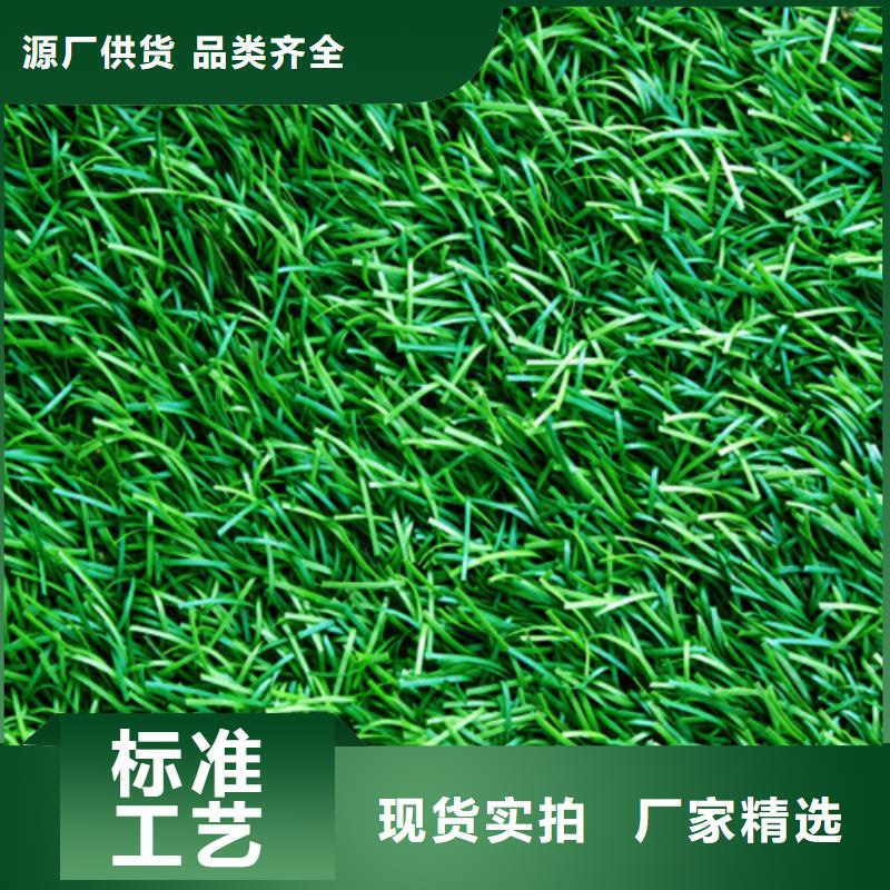 屯溪区围挡草坪施工