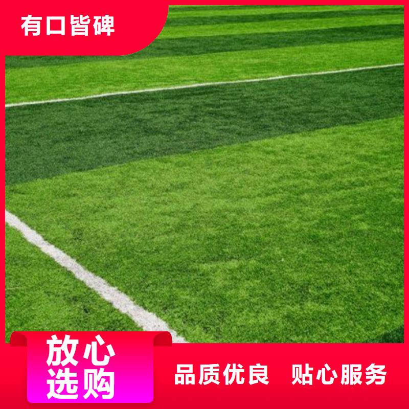 牡丹区足球场人造草坪