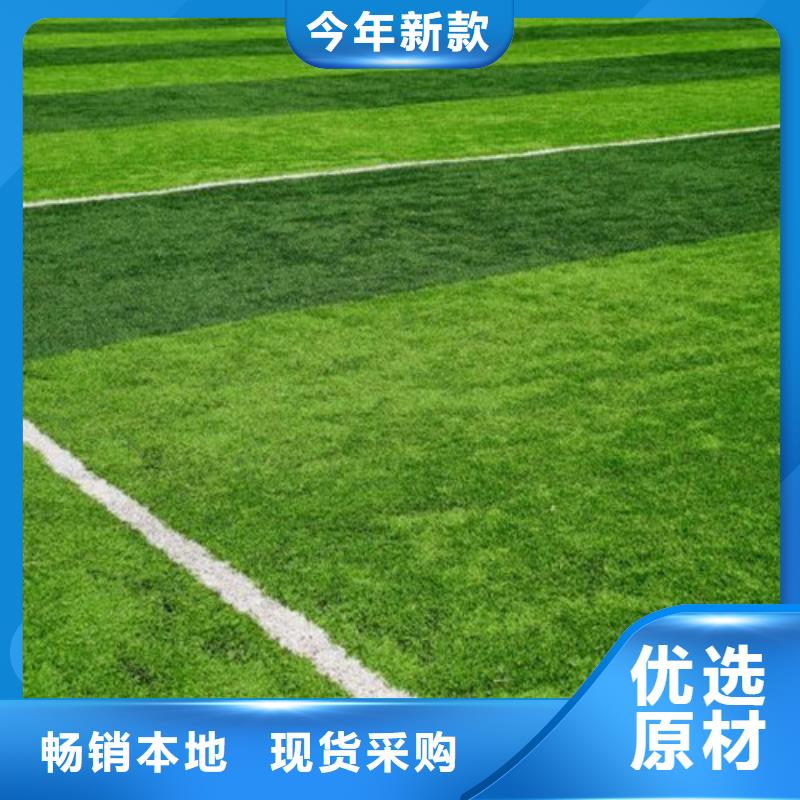 临沭县球场人造草坪