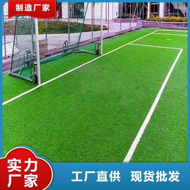 批发围挡草坪_精选厂家