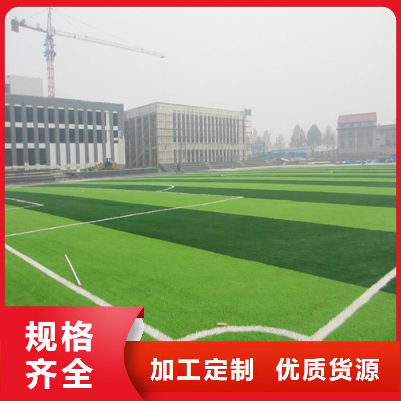 当地球场人造草坪生产厂商