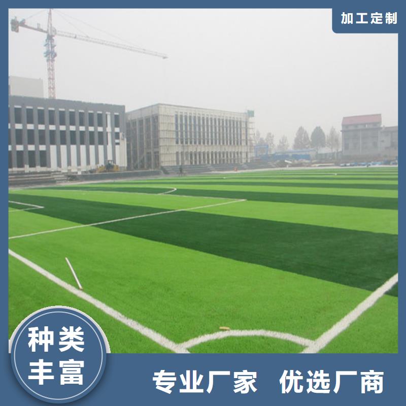 南陵仿真人工草坪质量可靠