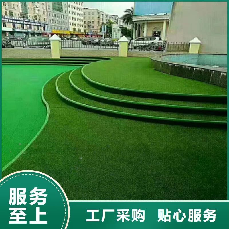 批发围挡草坪_精选厂家