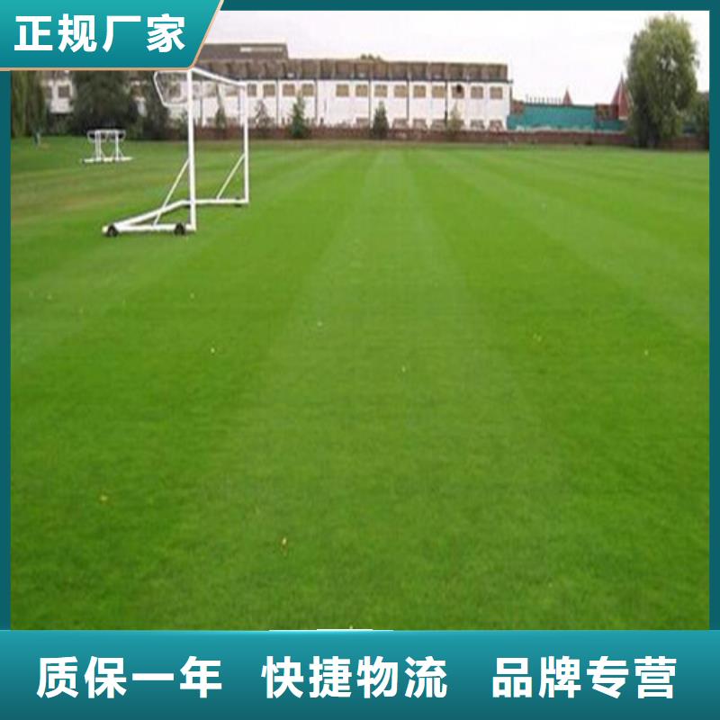 仿真人工草坪批发价格