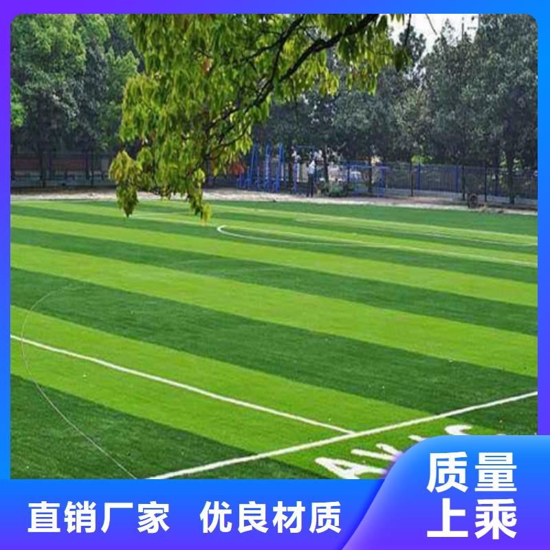 围挡草坪