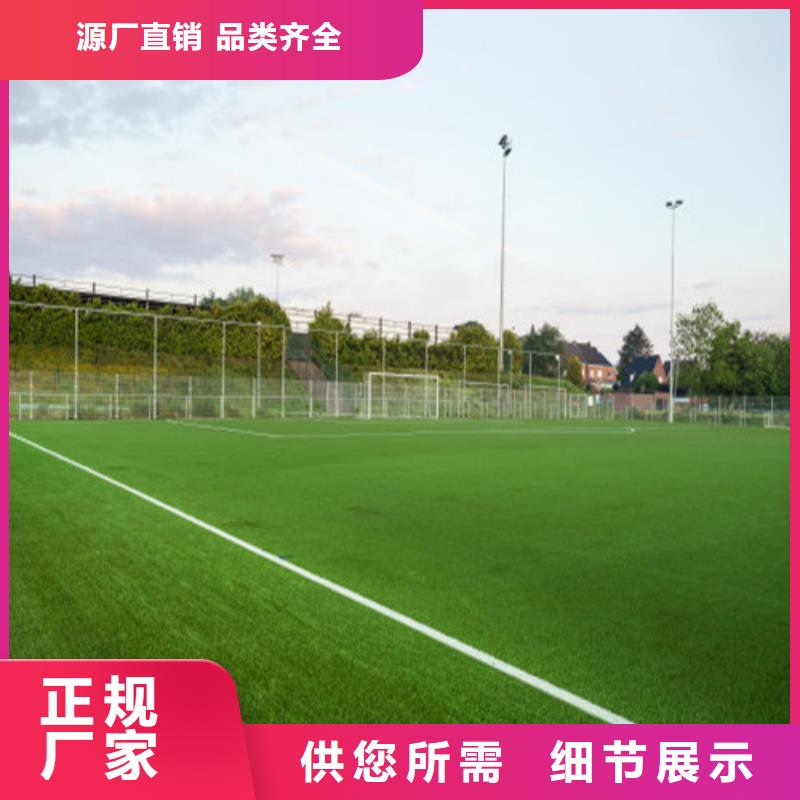 无为县围挡草坪