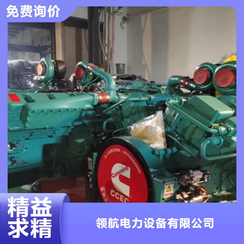 泰和电喷型发电机租赁300元起租