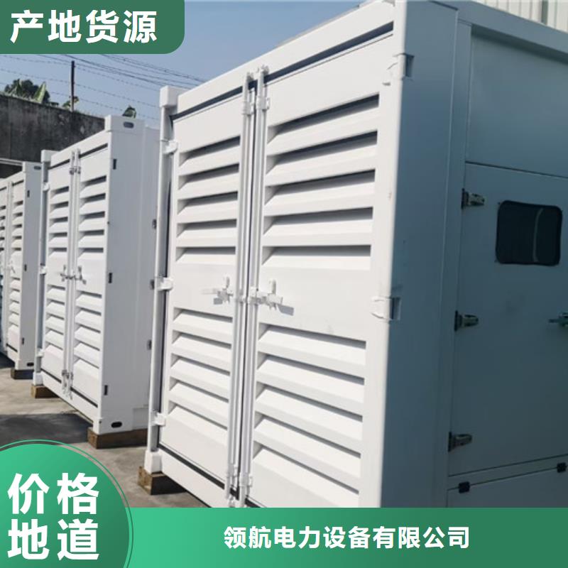 仁和租用柴油发电机组技术力量雄厚