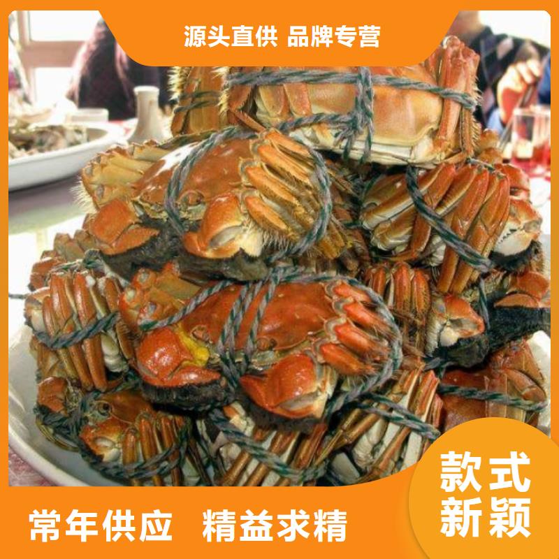 大闸蟹今日价格行情
