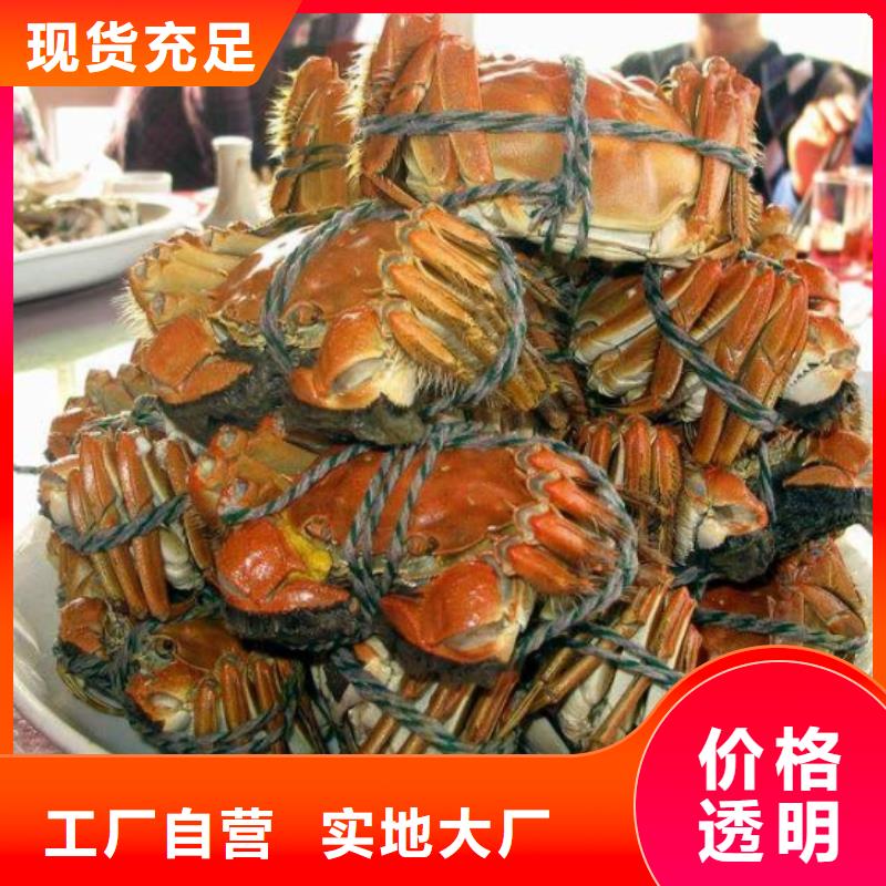 苏州阳澄湖买大闸蟹哪家好阳澄湖吃大闸蟹农家乐