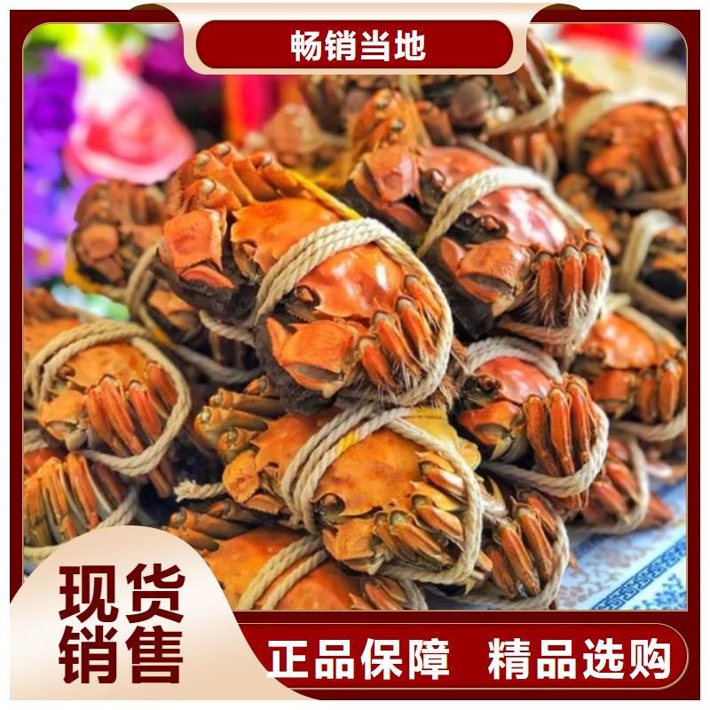 阳澄湖大闸蟹