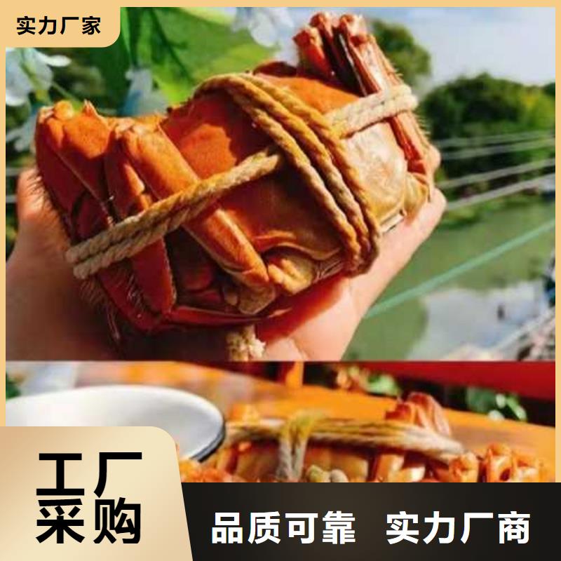 南方大闸蟹礼盒批发