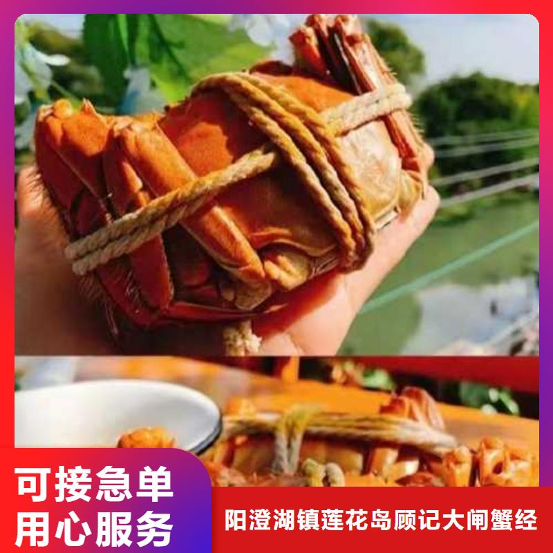 滨江区阳澄湖农家乐哪家好