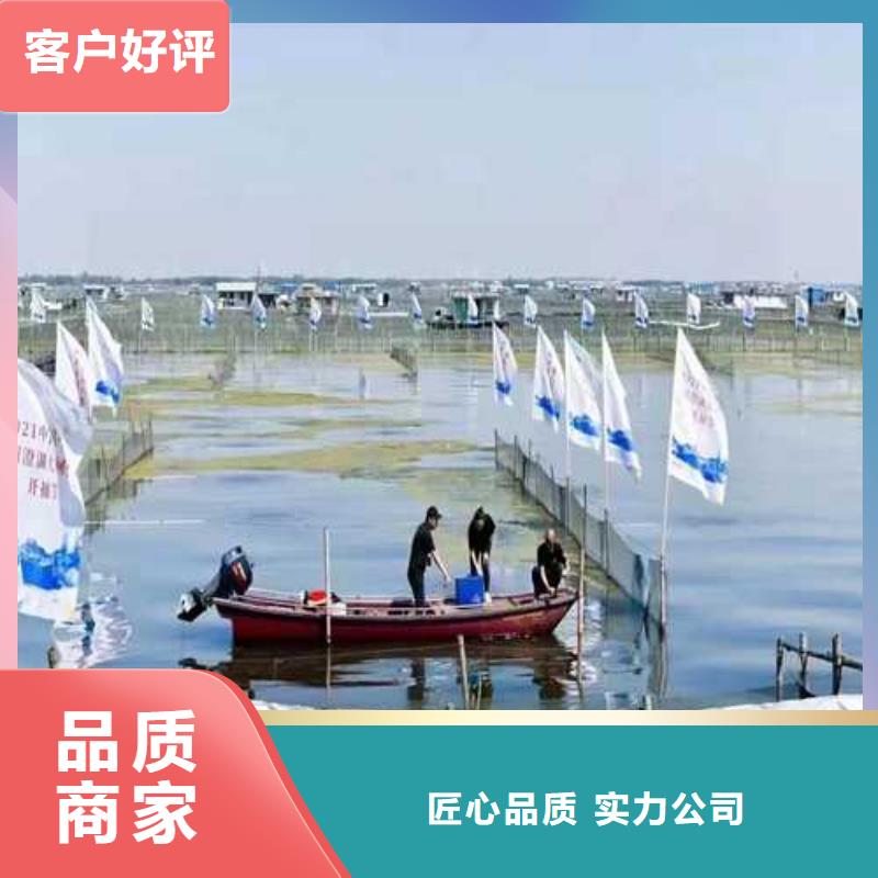 安新县阳澄湖大闸蟹团购