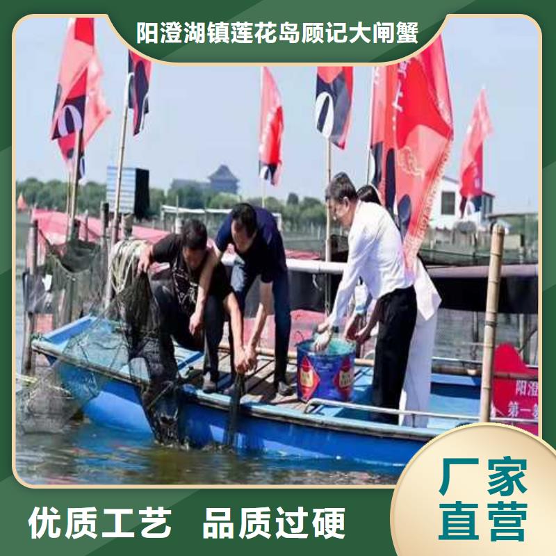 超大闸蟹厂家好口碑