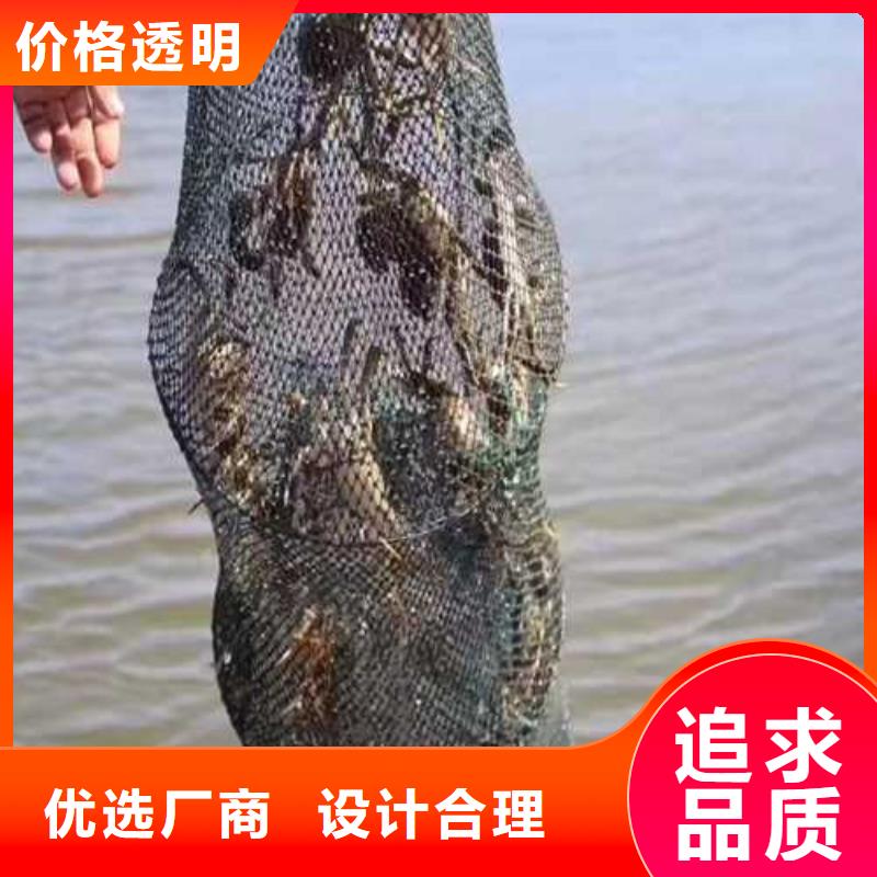 大闸蟹礼盒批发