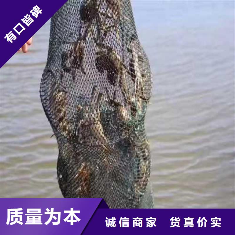 甄选：打螃蟹生产厂家