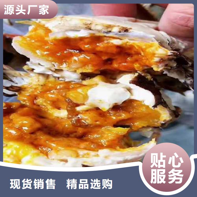 打螃蟹实力批发厂家