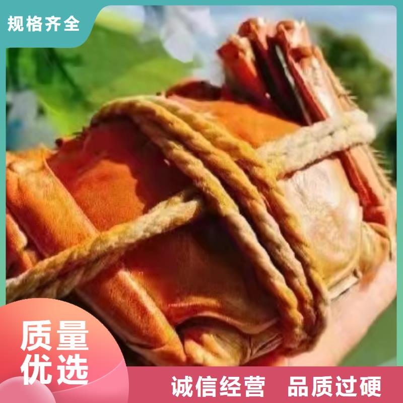 买大闸蟹