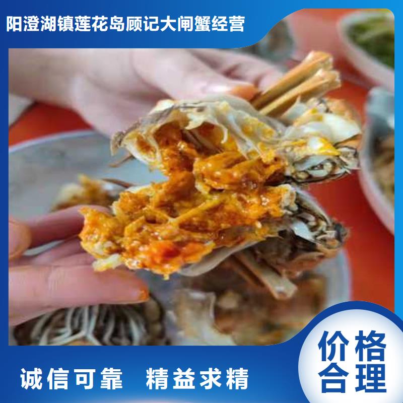 山东阳澄湖莲花岛农家乐