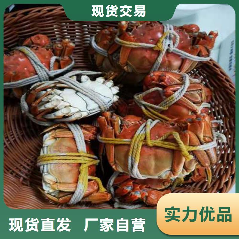 蟹中礼品包装盒