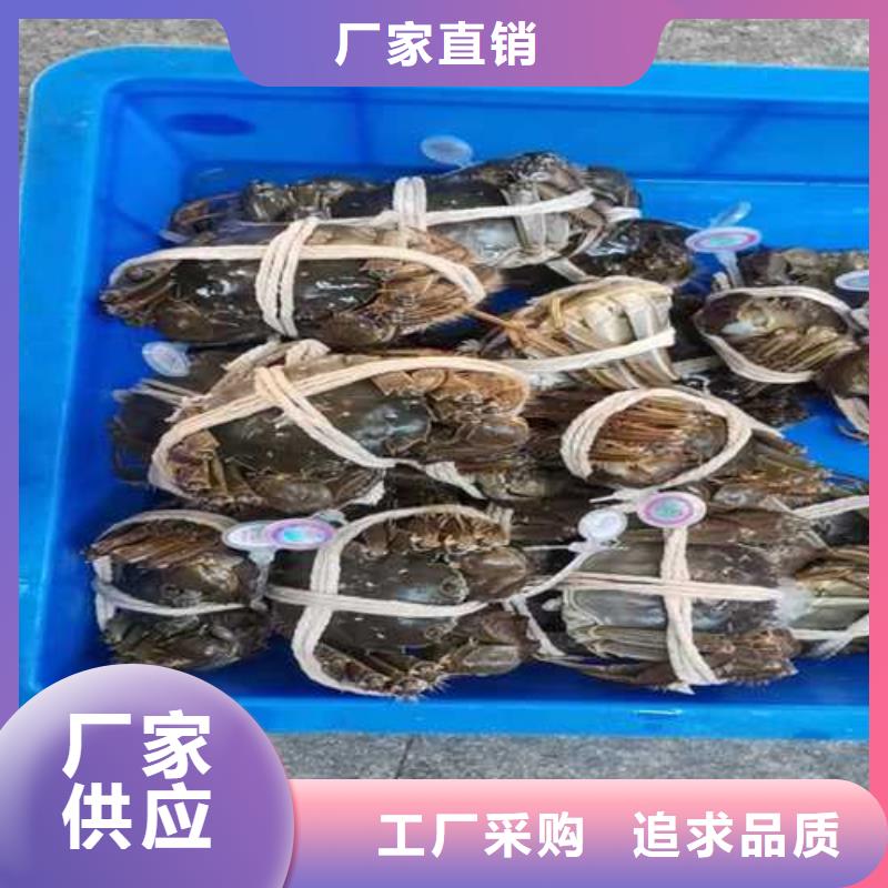 右江阳澄湖大闸蟹保证