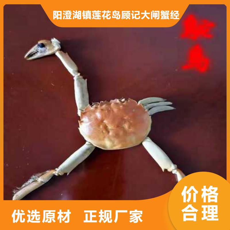 阳澄湖大闸蟹