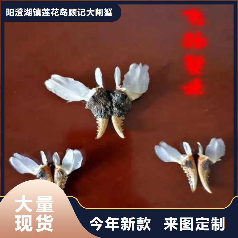 西林阳澄湖大闸蟹大礼盒