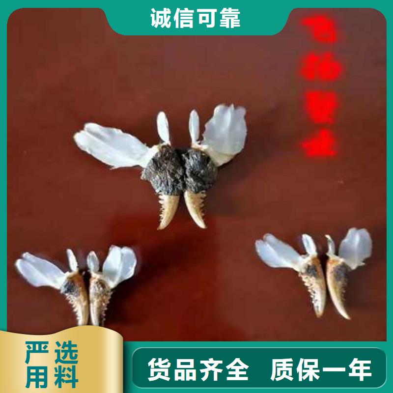 扶风县阳澄湖莲花岛