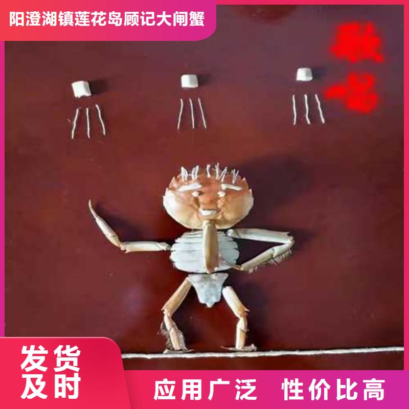 质量优的大闸蟹生产厂家