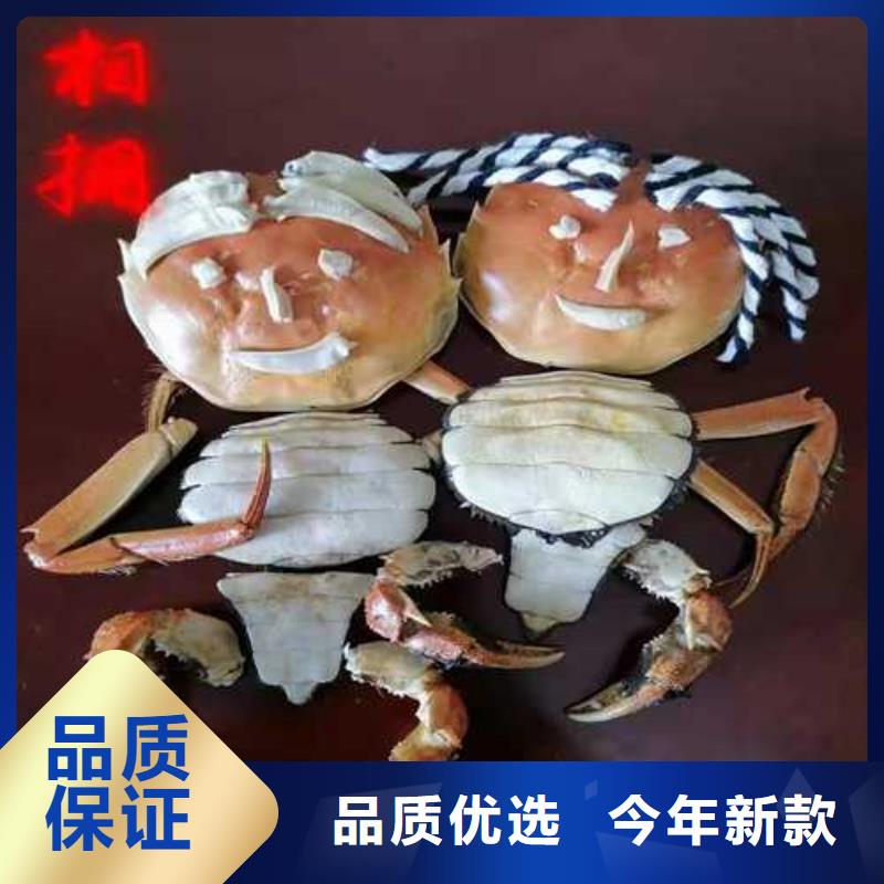 超大闸蟹-超大闸蟹质量优