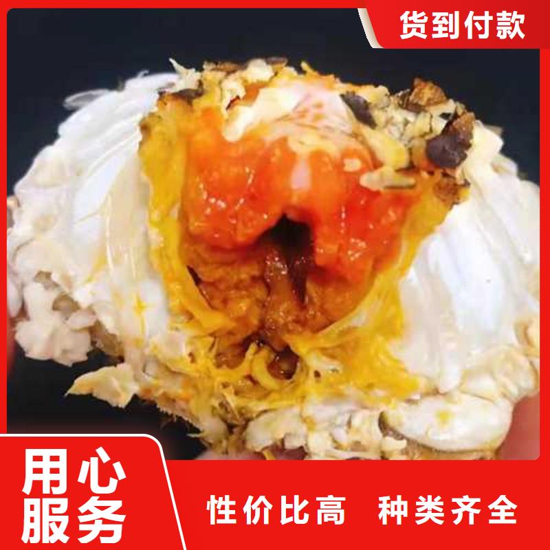 海盐阳澄湖大闸蟹批发