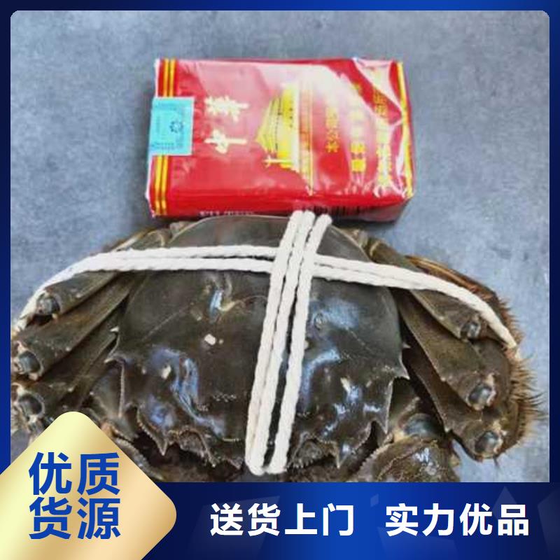 超大闸蟹、超大闸蟹生产厂家