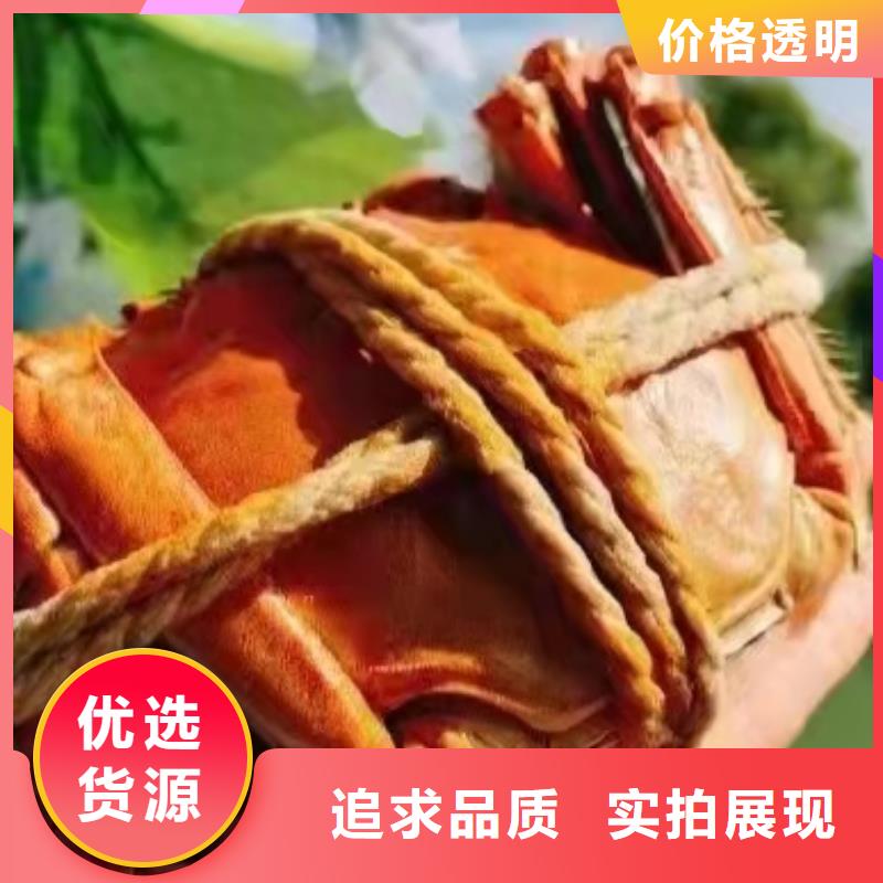 #大闸蟹#选择我们