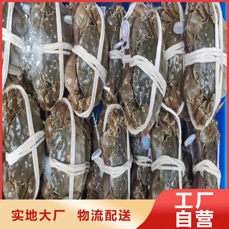 大闸蟹参数图片