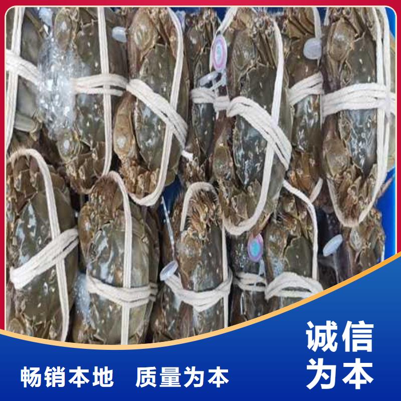 西林阳澄湖大闸蟹高端品质