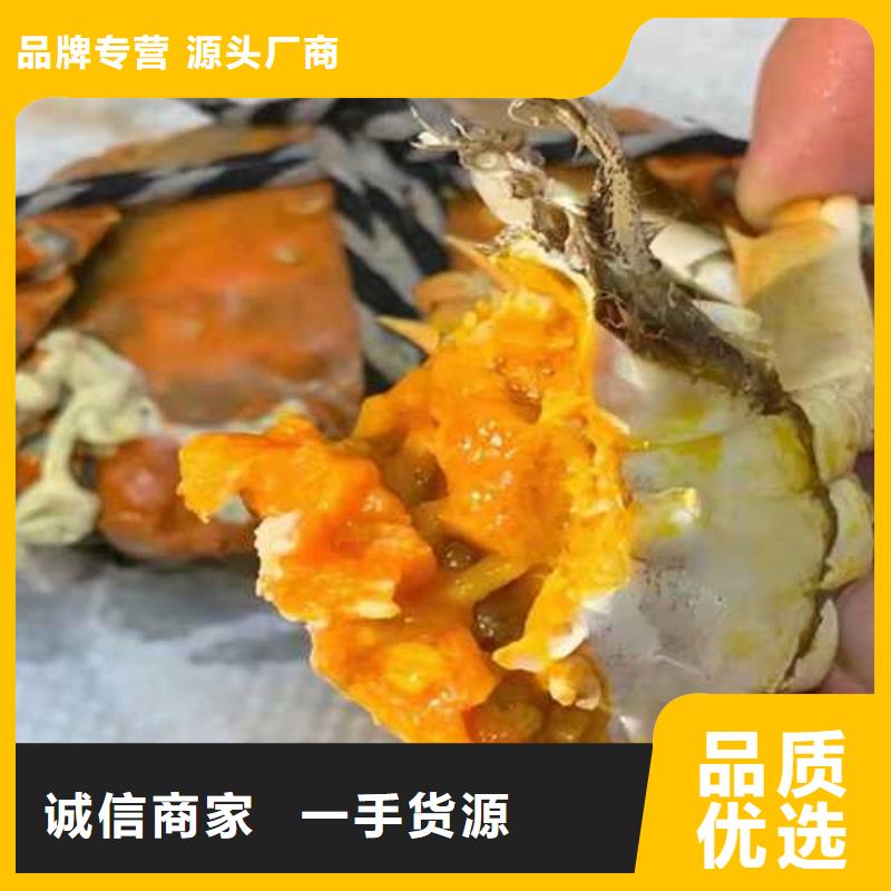 无为县阳澄湖大闸蟹