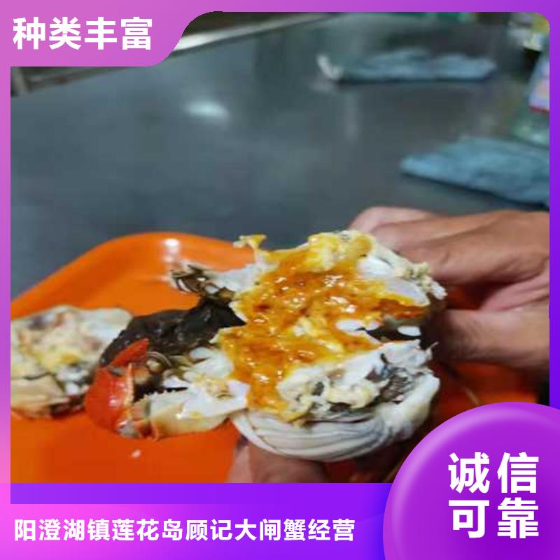 值得信赖的超大闸蟹销售厂家