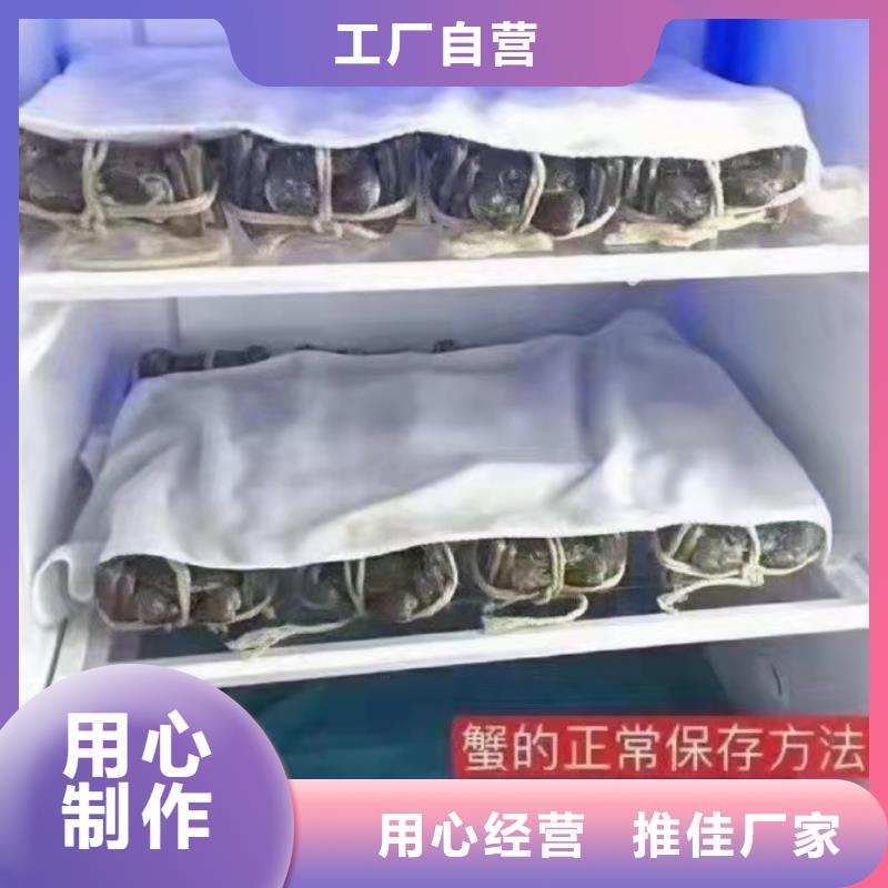 价格合理的大闸蟹礼盒经销商