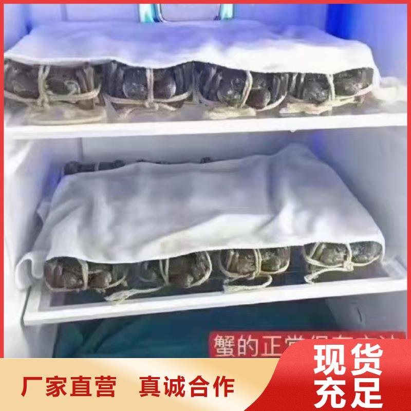 扶风阳澄湖大闸蟹匠心打造
