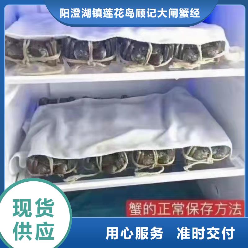 打螃蟹参数图片
