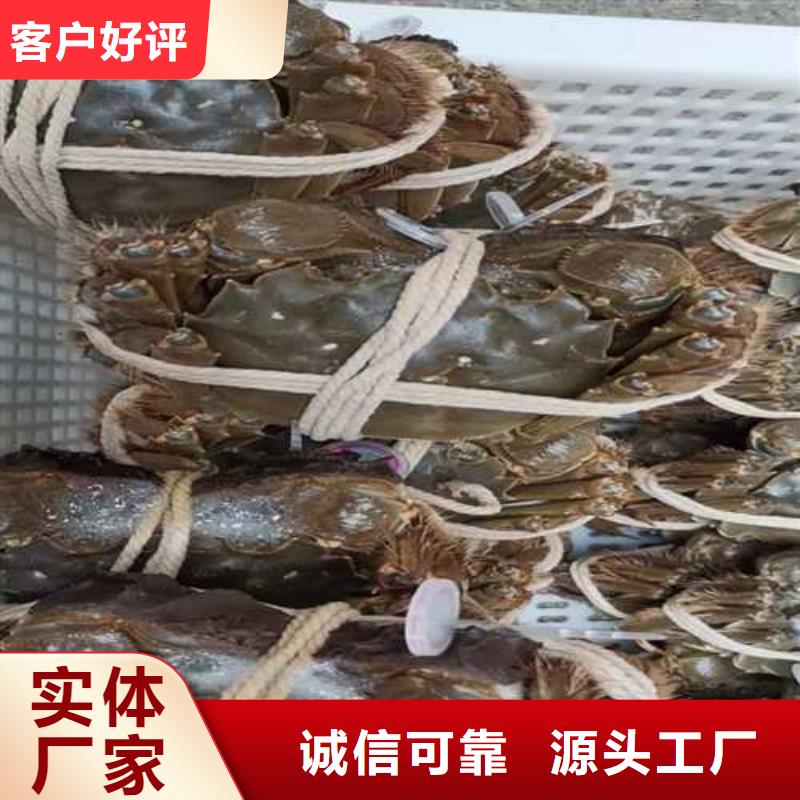 商州区阳澄湖农家乐