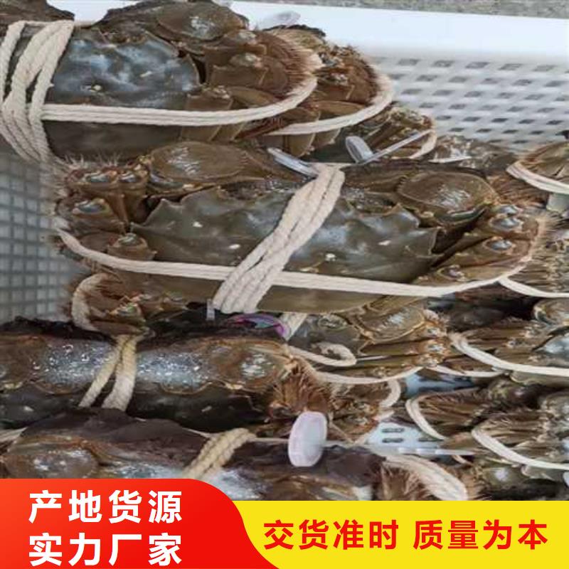 阳澄湖大闸蟹礼盒