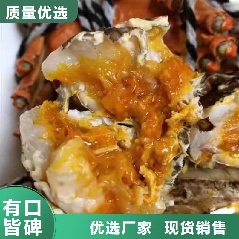 阜平阳澄湖大闸蟹养殖商
