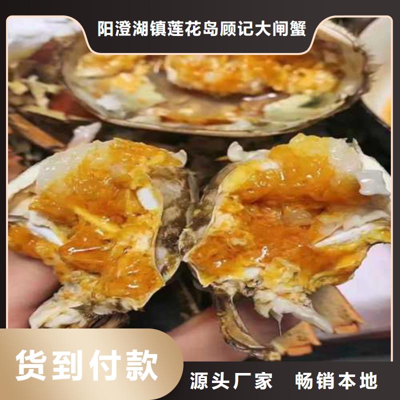 阳澄湖大闸蟹订购