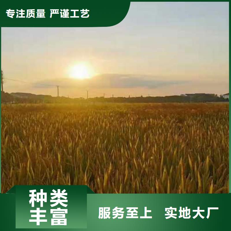 商州区阳澄湖农家乐