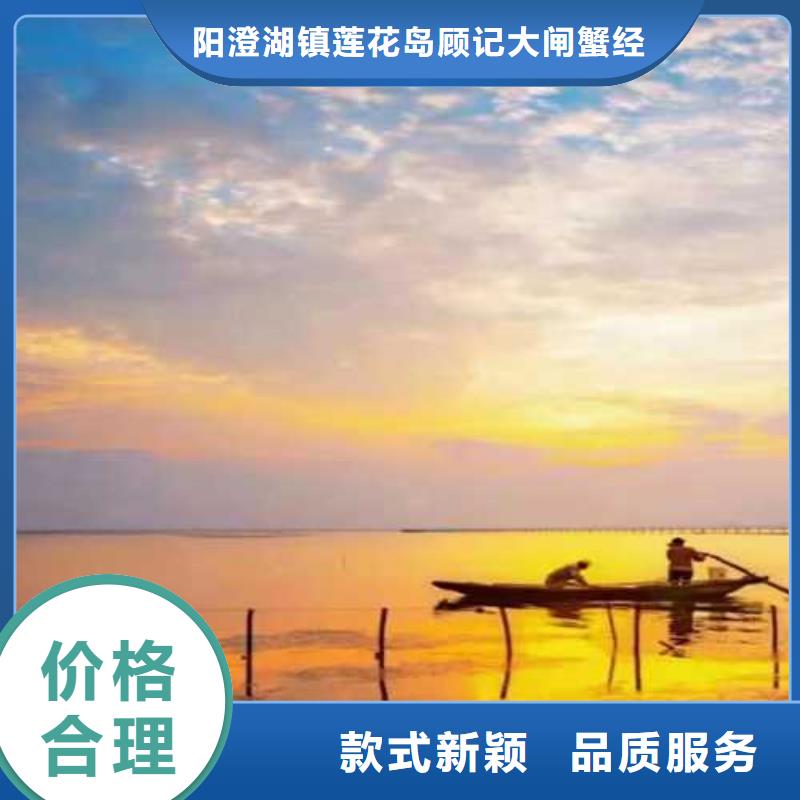 阳澄湖大闸蟹网上订购