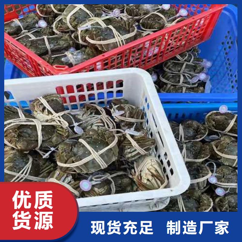 有现货的大闸蟹供应商