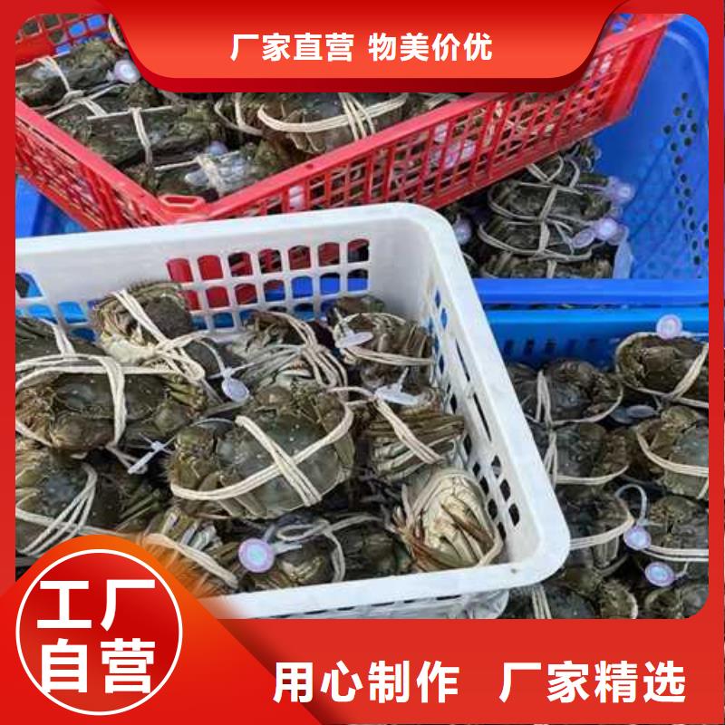 黔西县阳澄湖大闸蟹价格