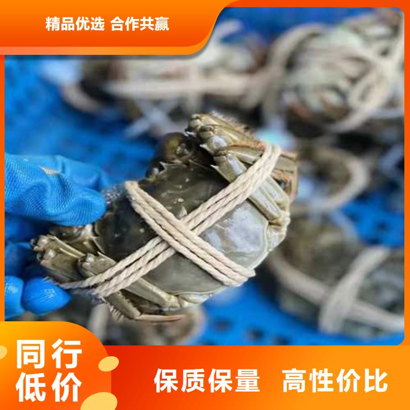 打螃蟹单价